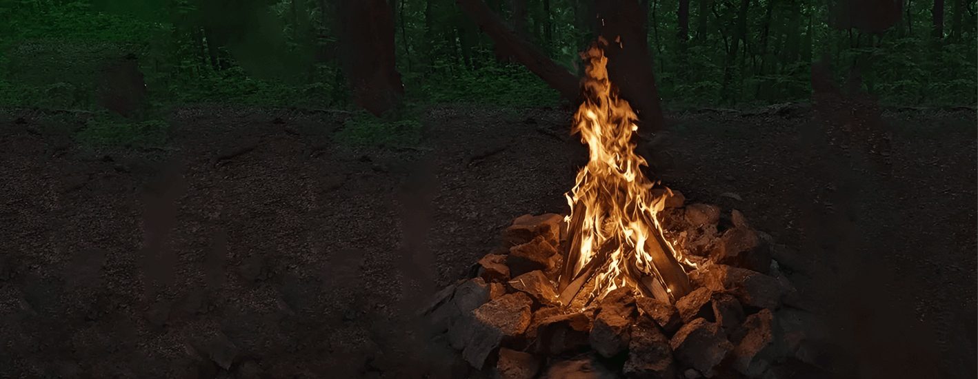 A fire in the woods with trees and rocks