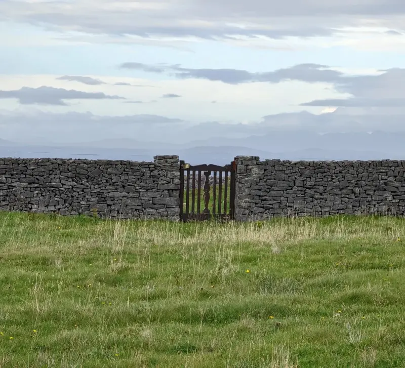 A gate in the middle of an open field.