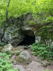 A cave in the woods