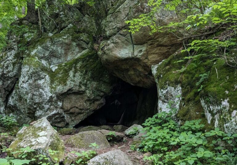 A cave in the woods